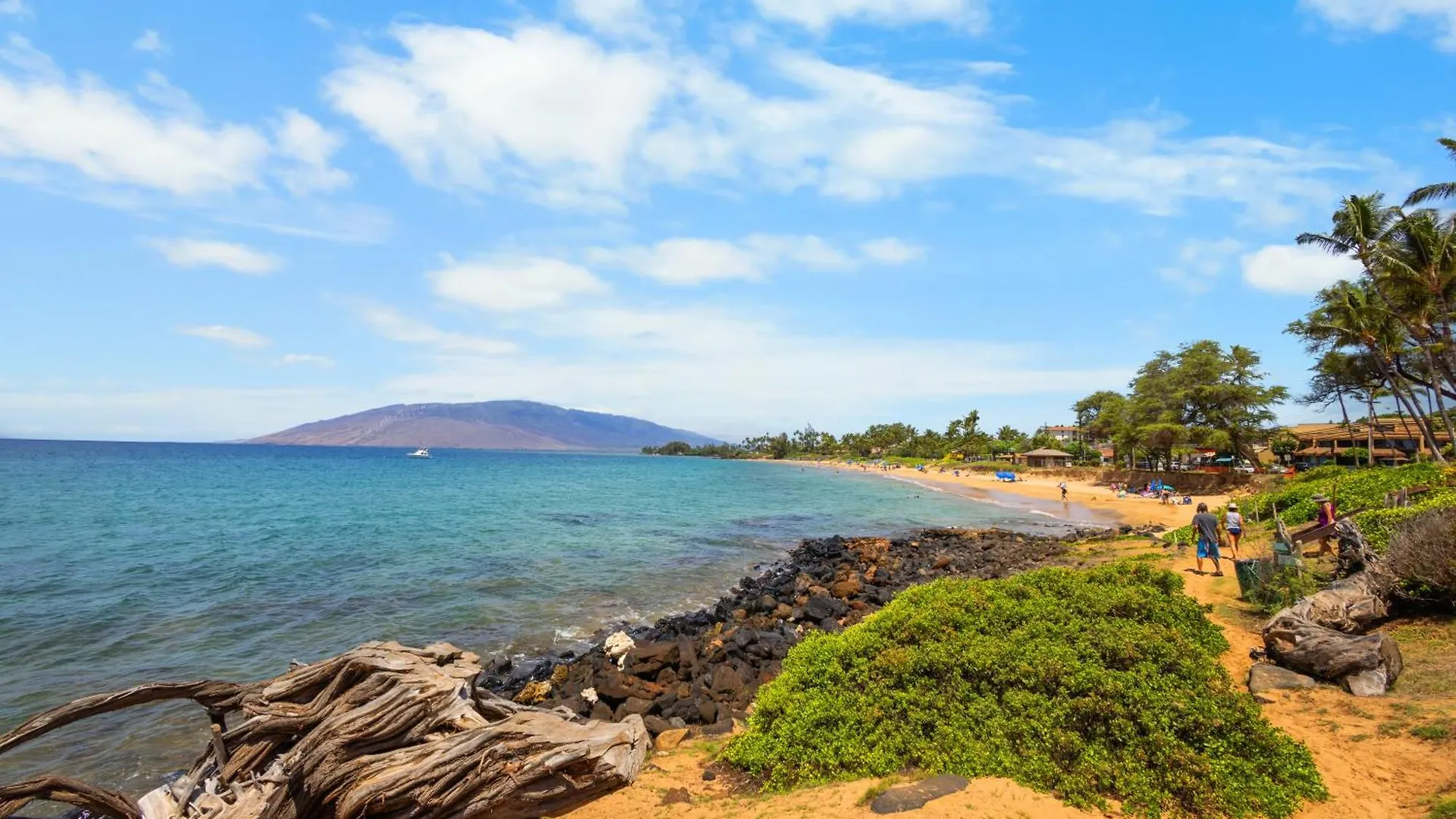 Beachfront Spectacular Sunset Suite New Ac Kihei Apartman